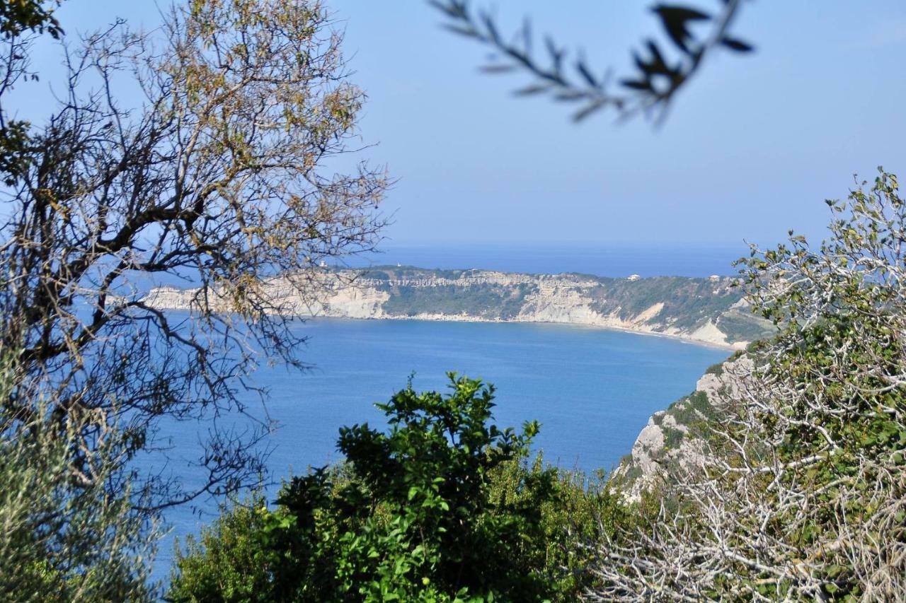 Villa Meli Afionas Corfu Esterno foto
